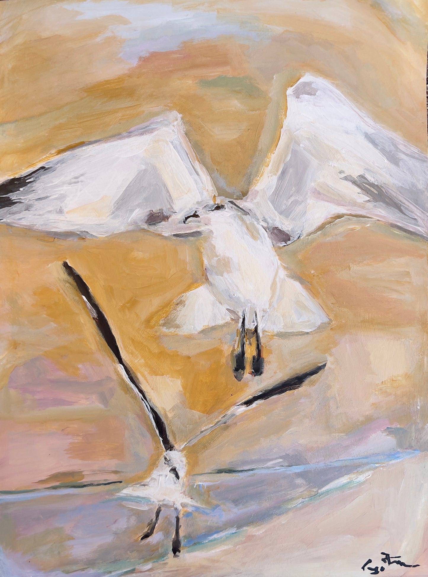 SEAGULLS